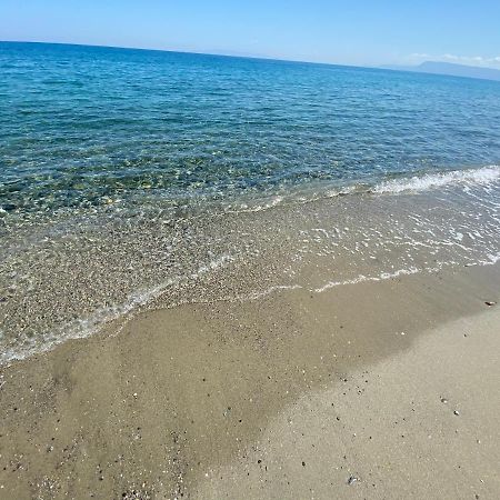 Tyrrhenian Sea Apartment ตอร์เรฟาโร ภายนอก รูปภาพ