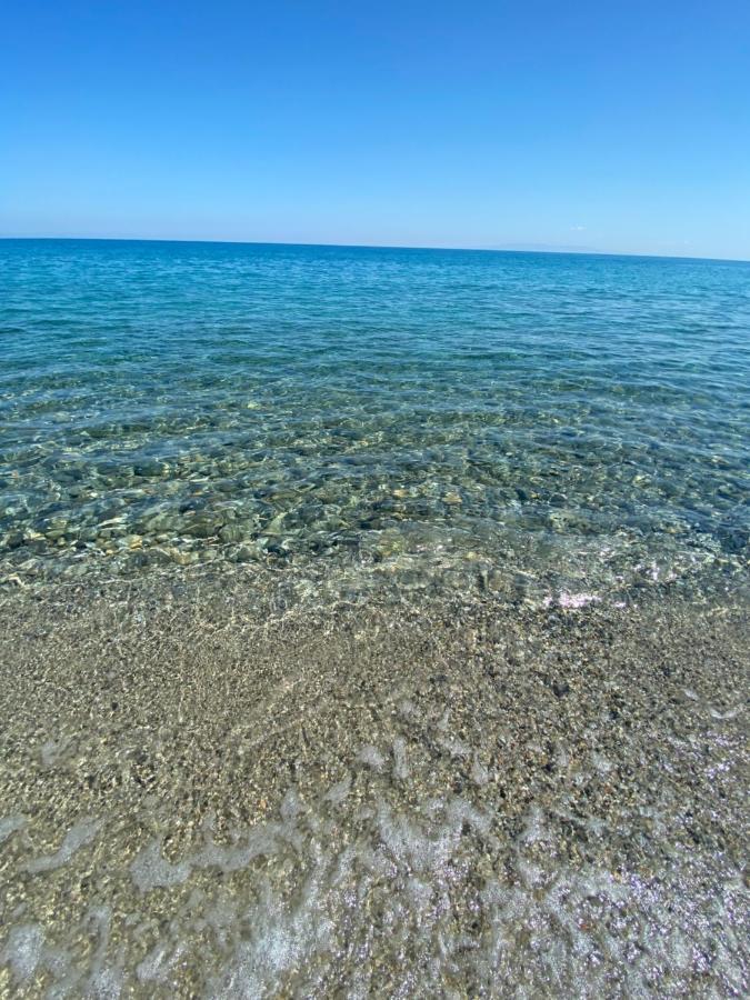 Tyrrhenian Sea Apartment ตอร์เรฟาโร ภายนอก รูปภาพ