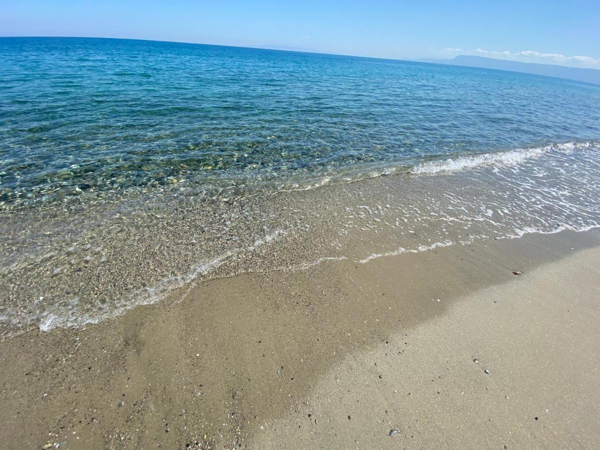 Tyrrhenian Sea Apartment ตอร์เรฟาโร ภายนอก รูปภาพ
